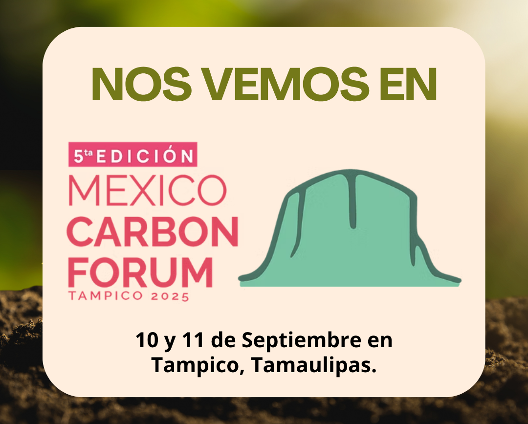 imagen-noticia