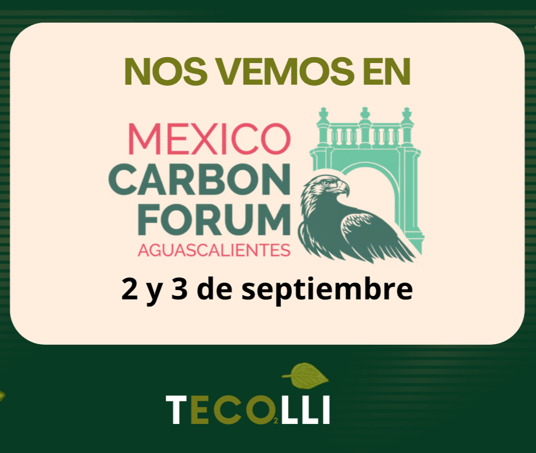 imagen-noticia