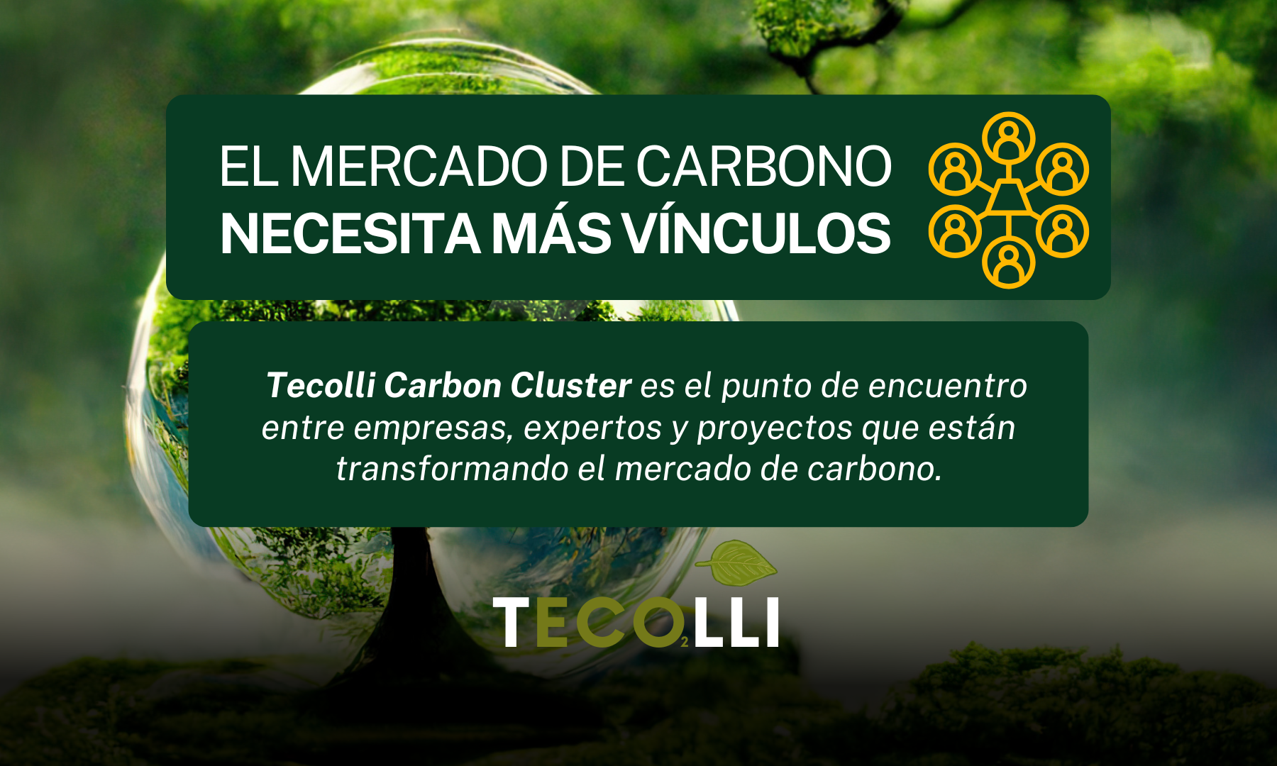 El Mercado de Carbono necesita