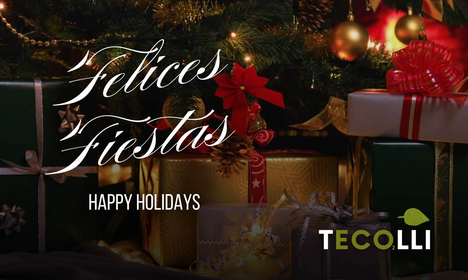 Gracias por ser parte de la red que vincula al mercado de carbono.