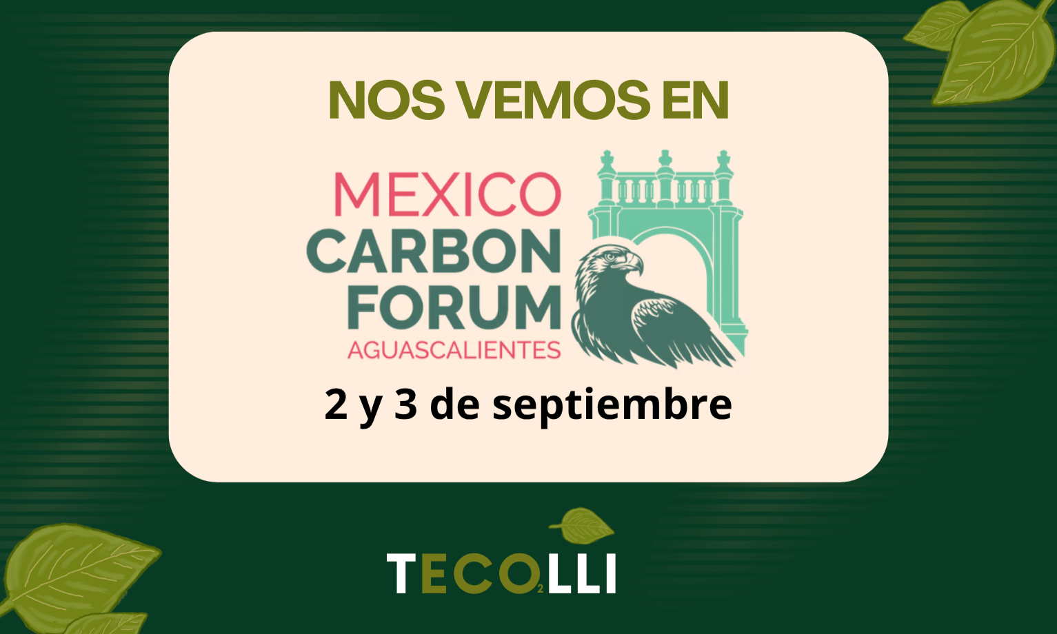 Nos vemos MXCF2026