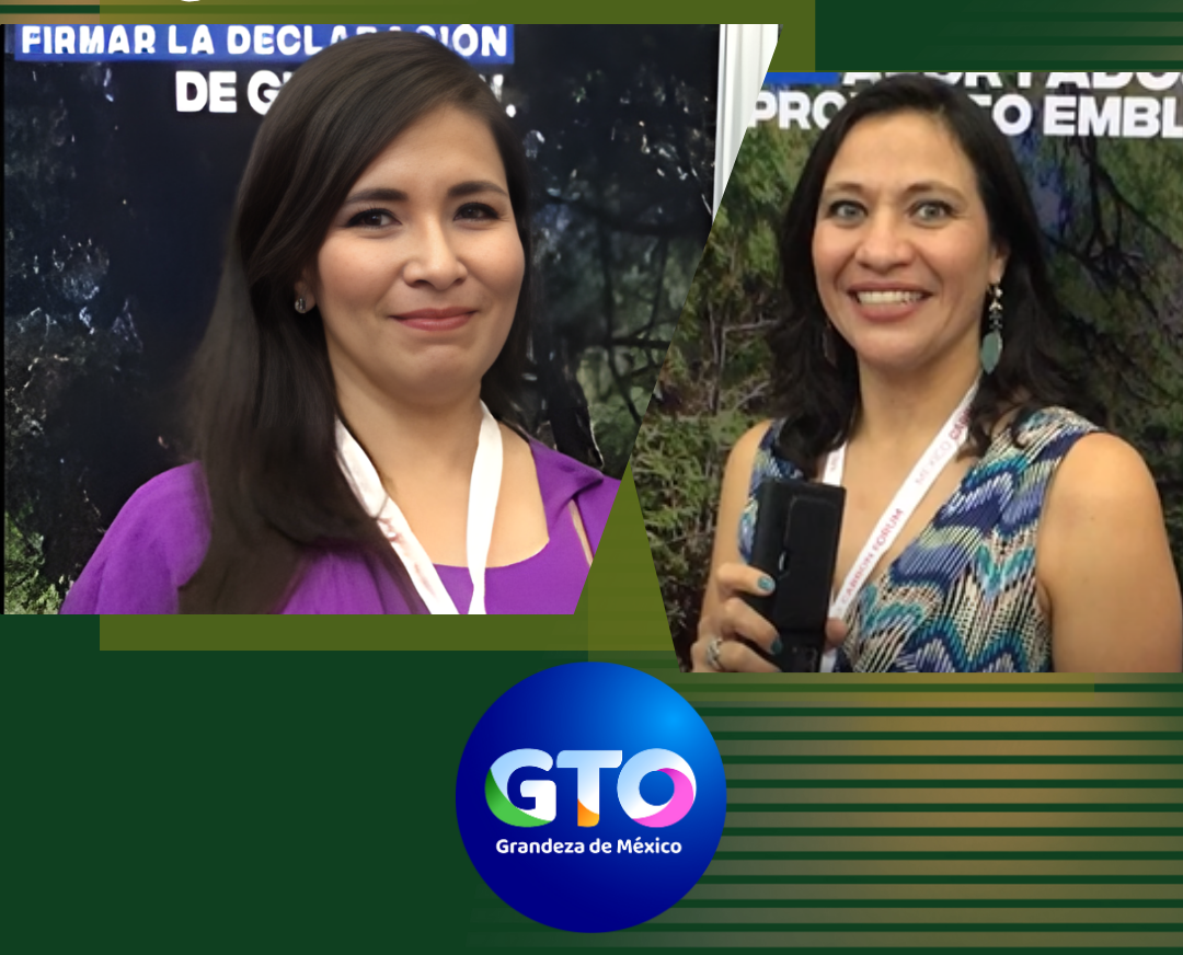 imagen-webinar