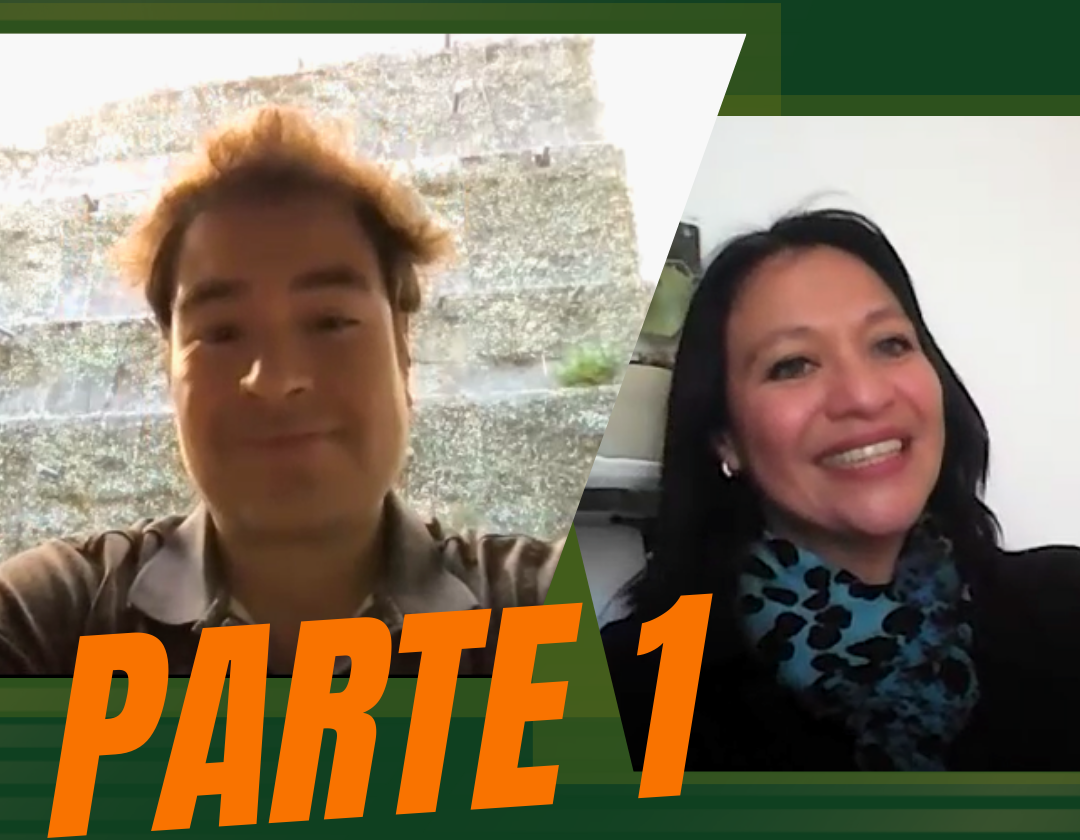 imagen-webinar