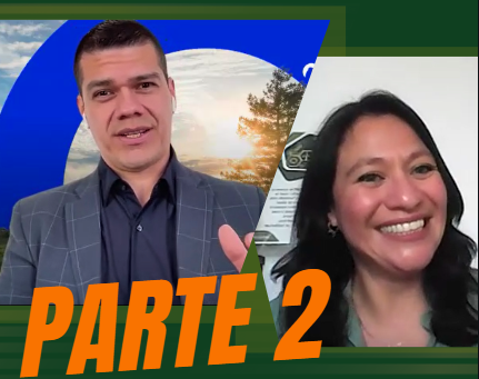 Imagen del webinar